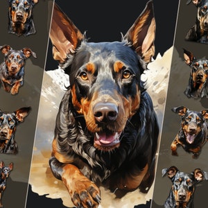 Lot de cliparts doberman - Illustrations canines gracieuses, fichiers PNG haute résolution, téléchargement immédiat, parfait pour un usage personnel et commercial