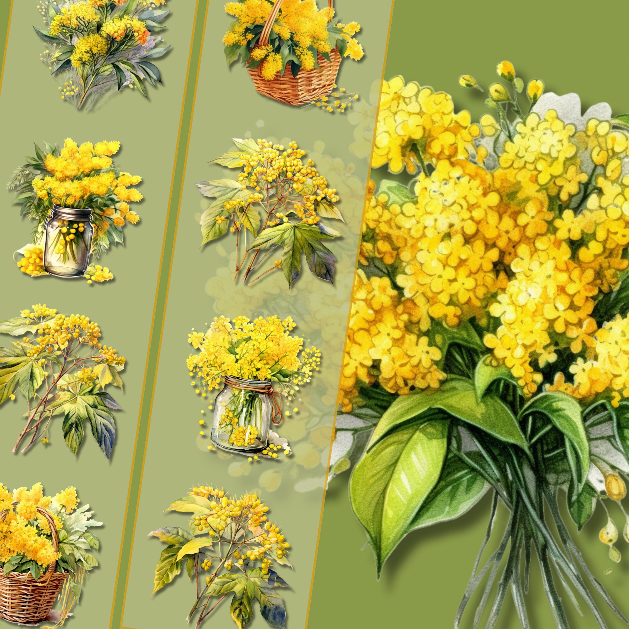 Buy Elder Flower Online In India - Etsy India