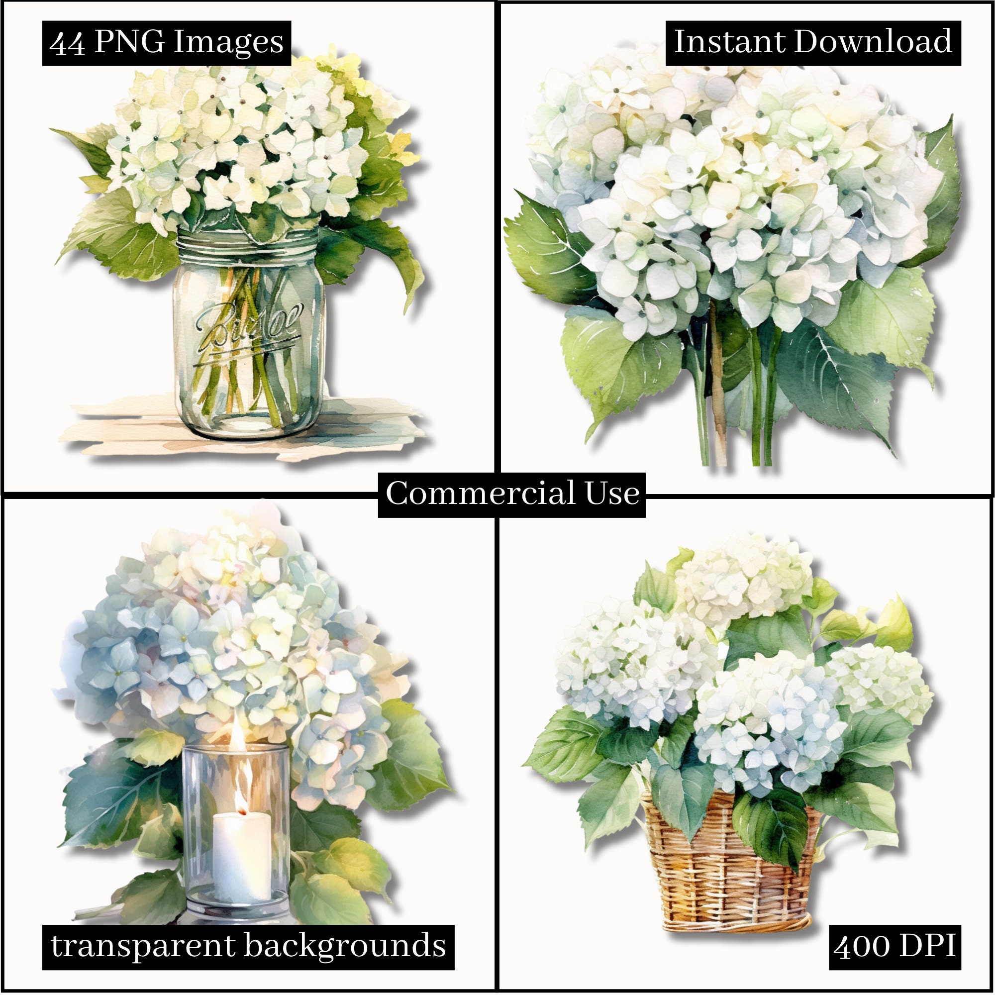 White Hydrangea Clipart Bundle High-quality PNG Files - Etsy