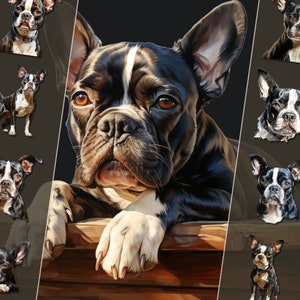 Pacote de clipart do Boston Terrier, ilustrações divertidas de cachorro, arquivos PNG de alta resolução, download instantâneo, perfeito para uso pessoal e comercial