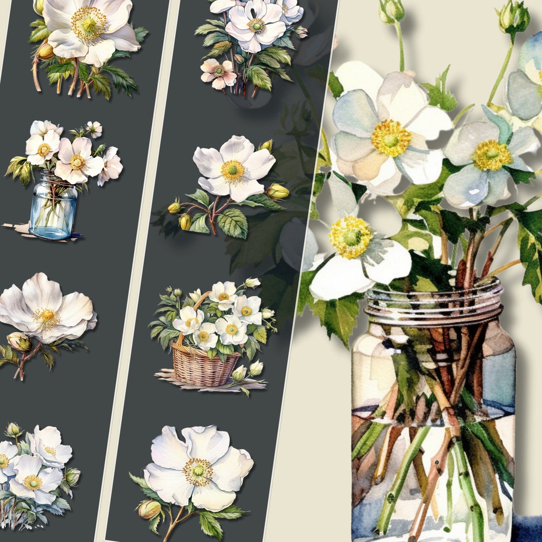 Cherokee Rose Clipart Bundle High-resolution PNG Files - Etsy