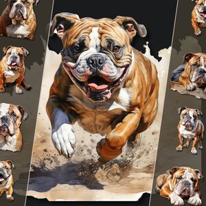 ブルドッグ クリップアート バンドル - 愛らしい犬のイラスト、高解像度の PNG ファイル、即時ダウンロード、個人および商業利用に最適