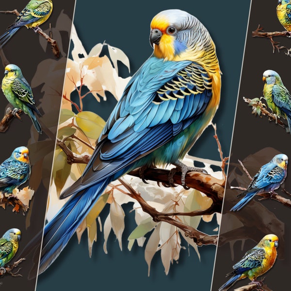 Budgie Clipart Bundle, Avian Illustrations, PNG Files, Transparent Background, Instant Download, for Personal & Commercial Use