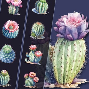 Imágenes PNG de imágenes prediseñadas de cactus pastel, descarga instantánea de imágenes prediseñadas de cactus pastel, perfecto para uso personal y comercial, elaboración y decoración
