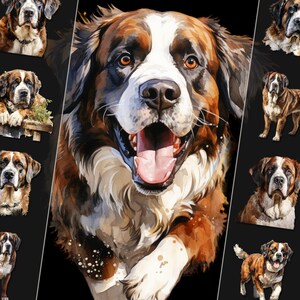 Bernhardiner Clipart Bundle - bezaubernde Hundeillustrationen, hochauflösende PNG-Dateien, transparenter Hintergrund, für den persönlichen und kommerziellen Gebrauch