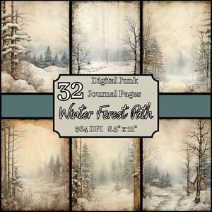 Winter bospad thema bundel oude vintage ongewenste dagboekpagina's, 8,5 x 11, 364 DPI, commercieel en persoonlijk gebruik, digitale download, landschapskunst