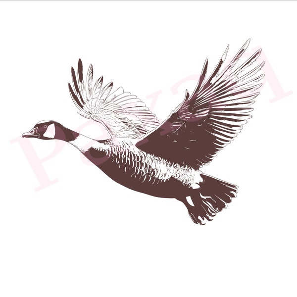 Canada Goose Svg, Flying Canada Goose Svg, Canada Goose Vector Cutfile png Pdf for Mugs, Tattoos, Stickers, Clothes, Festival Decoration