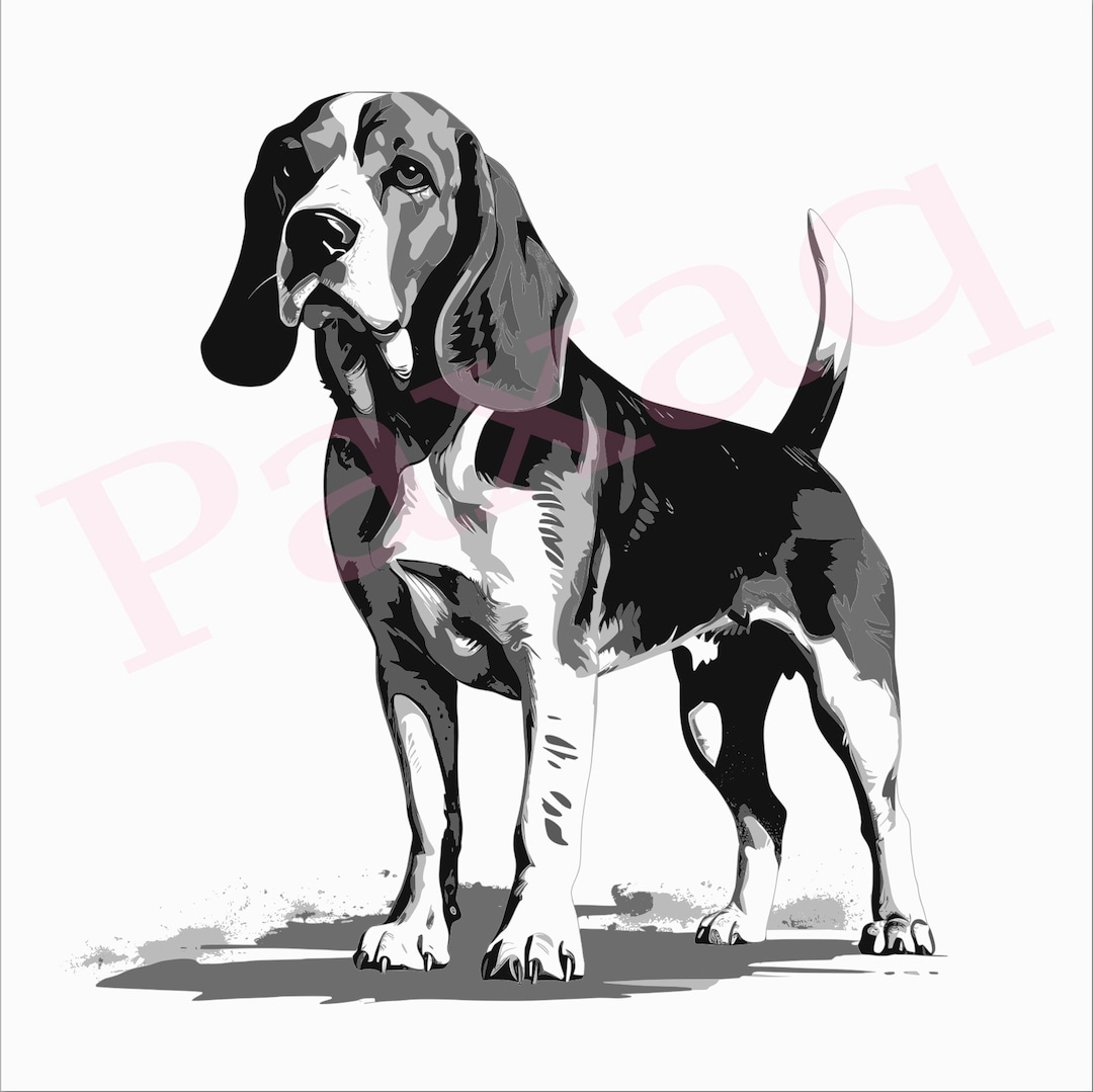 Beagel Vector Beagle Svg, Alert Beagle Vector, Beagle Vector Cutfile Png Pdf Svg Jpg ...