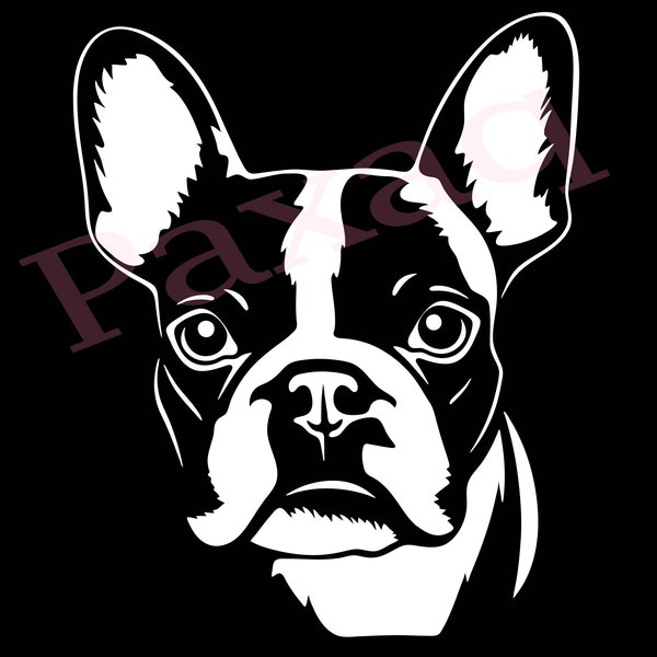 Boston Terrier Svg, Cute Boston Terrier Vector, Jpg Png Pdf Svg for T-shirts, Mugs, Tattoos, Stickers, svg for dog lover, commercial use