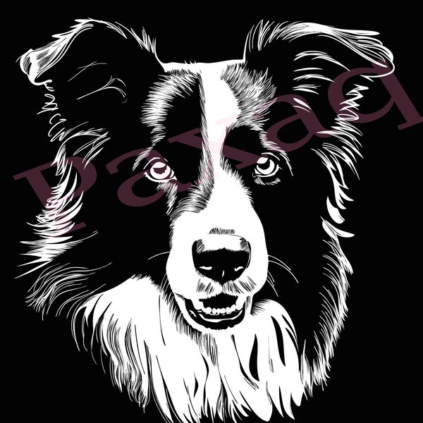 Border Collie Svg, Smart Border Collie clipart, Jpg Png Pdf Svg for T-shirts, Mugs, Tattoos, Stickers, svg for dog lover, commercial use