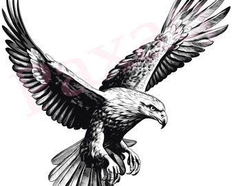 Bald Eagle Svg, Flying Eagle Vector, Jpg Png Pdf Svg for T-shirts, Mugs, Tattoos, Stickers, Vector for Eagle lover