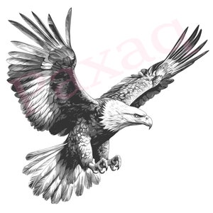 Bald Eagle Svg, Flying Eagle Vector, Jpg Png Pdf Svg for T-shirts, Mugs, Tattoos, Stickers, Vector for Eagle lover