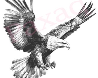 Bald Eagle Svg, Flying Eagle Vector, Jpg Png Pdf Svg for T-shirts, Mugs, Tattoos, Stickers, Vector for Eagle lover