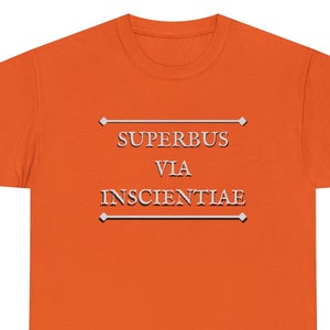 May include: Orange t-shirt with the text "SUPERBUS VIA INSCIENTIAE" printed in white.