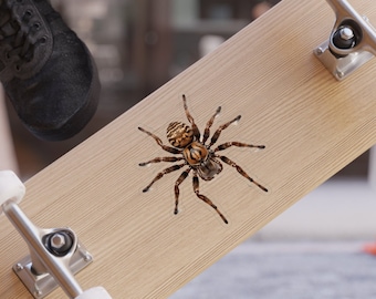Pegatinas transparentes para exteriores con araña cisterna gigante, troqueladas, 1 unidad