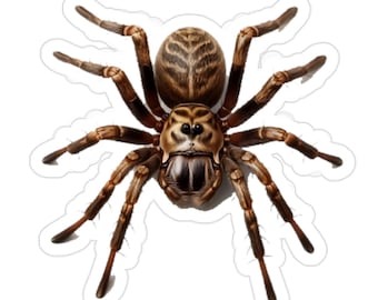 Giant tiger Spider Transparent Outdoor Stickers, Die-Cut, 1pcs