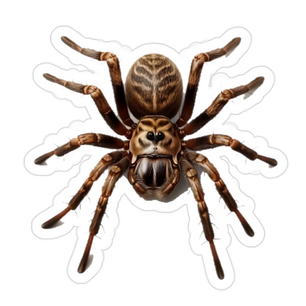 Riesen Tiger Spinne Transparente Outdoor Aufkleber, gestanzt, 1 Stück