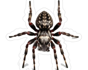 Giant Big Black Spider Transparent Outdoor Sticker, Die-Cut, 1pcs