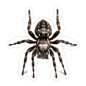 Giant Big Black Spider Transparent Outdoor Sticker, Die-Cut, 1pcs