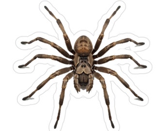 Giant Huntsman Spider Transparent Outdoor Sticker, Die-Cut, 1pcs