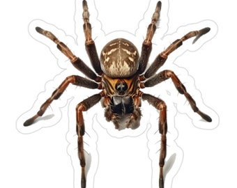 Giant Orb Spider Transparent Outdoor Stickers, Die-Cut, 1pcs