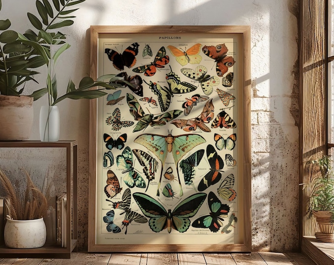 Adolphe Millot Vintage Butterflies Illustration Poster Art Print Poster