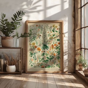 Adolphe Millot Vintage bloemen illustratie poster Art Print poster, antieke bloemen botanische muurkunst, Franse wilde bloemen grafiek Home decor