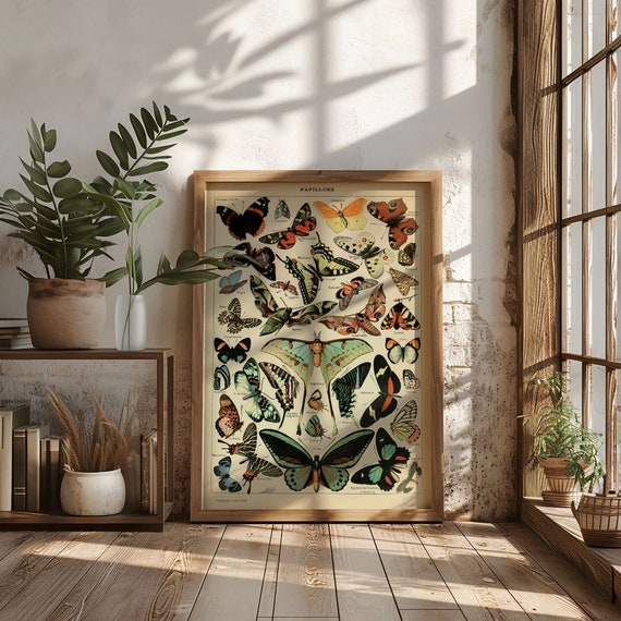 Adolphe Millot Vintage Butterflies Illustration Poster Art Print Poster, Antique Entomology Wall Art, Educational Scientific Insect Decor