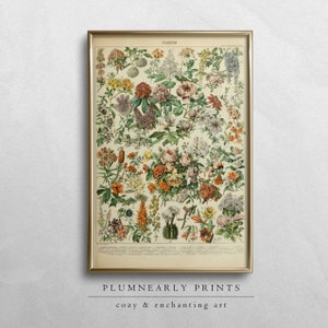 Adolphe Millot vintage bloemen illustratie poster digitale kunst print, antieke botanische kaart kunst aan de muur, bloemen wilde bloemen Cottagecore decor