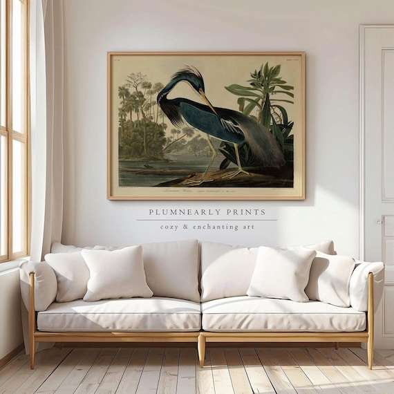 Louisiana Heron Audubon Illustration Art Print Poster, Vintage Bird Classic Wildlife Poster, Neutral Blue Coastal Beach Lake House Decor
