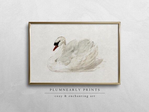 Elegant Swan Digital Art Print, Mute Swan by Aert Schouman, Watercolor Off White Bird Wall Decor, Minimalist Ethereal Animal Nature Painting