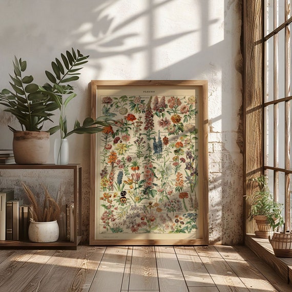 Adolphe Millot Vintage Flowers Illustration Poster Art Print Poster, Floral Wildflower Cottagecore Gardener Educational Botanist Decor Gift