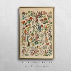 Adolphe Millot Vintage Flowers Illustration Poster Digital Art Print, Floral Wildflower Cottagecore Gardener Educational Botanist Decor Gift