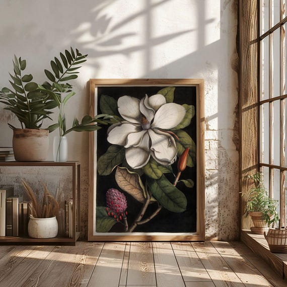Magnolia Flower Botanical Illustration Art Print Poster, Mark Catesby, Sage Green Nature Home Decor, White Neutral Luxury Wall Decor