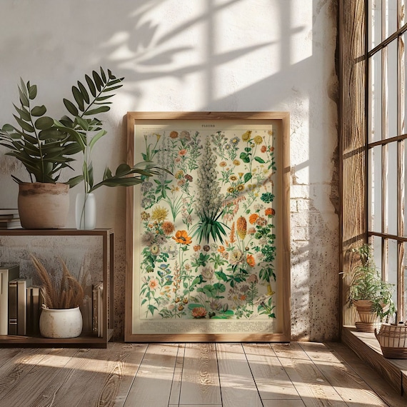 Adolphe Millot Vintage Flowers Illustration Poster Art Print Poster, Antique Floral Botanical Wall Art, French Wildflowers Chart Home Decor