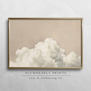 May include: A framed print of a large, fluffy white cloud against a light brown background. The print is in a gold frame and has the text "PLUMNEARLY PRINTS cozy & enchanting art" below the image.