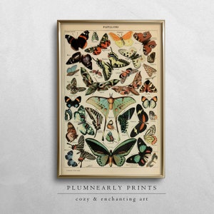 Adolphe Millot Vintage Schmetterlinge Illustration Poster Digitaler Kunstdruck, Antike Entomologie Wandkunst, Wissenschaftliches Insekten Dekor
