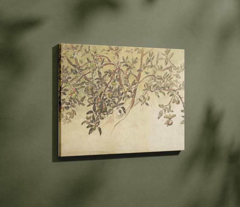 Shirlaw Apple Tree Watercolor Painting Framed Canvas, Vintage Botanical