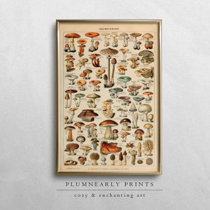 Póster con ilustración de hongos vintage de Adolphe Millot, impresión artística digital, decoración de cocina botánica de hongos antiguos, regalo para amantes de la naturaleza micológica