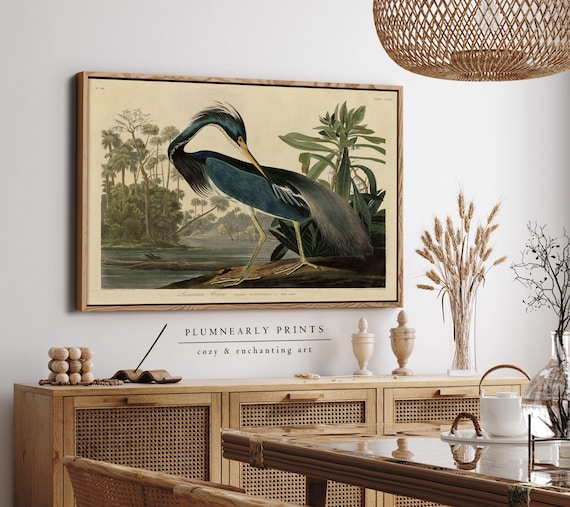 Louisiana Heron Audubon Illustration Framed Canvas, Vintage Bird Classic Wildlife Poster, Neutral Blue Coastal Beach Lake House Decor