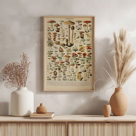 Adolphe Millot Vintage Mushrooms Illustration Poster Art Print Poster, Botanical Fungi Wall Art, Eclectic Kitchen Decor, Mycologist Gift
