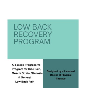 May include: A document titled LOW BACK RECOVERY PROGRAM in dark text on a light teal background. Below, text reads A 4-Week Progressive Program for Disc Pain, Muscle Strain, Stenosis & General Low Back Pain, and Designed by a Licensed Doctor of Physical Therapy.