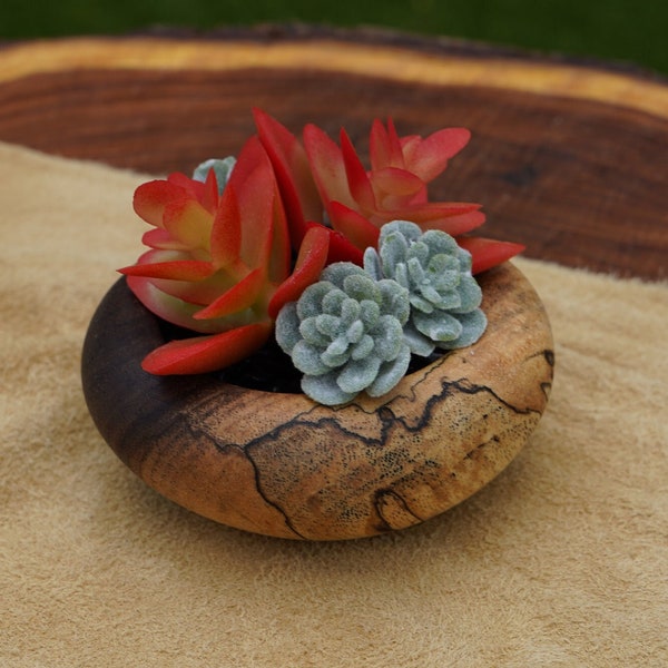 Succulent Planter Mini-Vase
