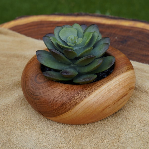 Succulent Planter Mini-Vase