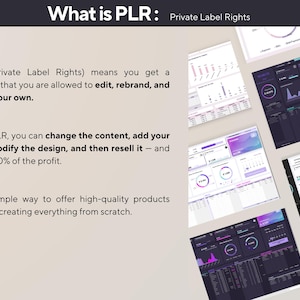 May include: An image explaining Private Label Rights (PLR). The text explains that PLR allows users to edit, rebrand, and sell products. The image also shows examples of data dashboards with charts and graphs.
