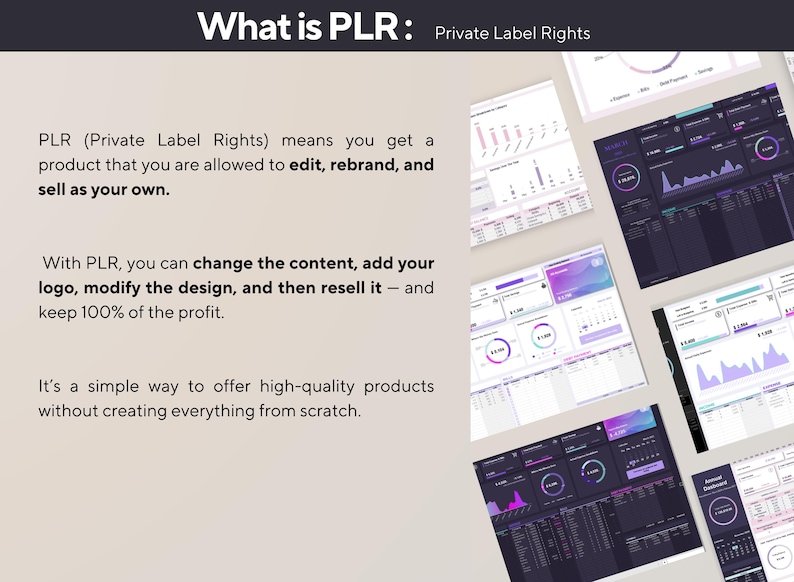 May include: An image explaining Private Label Rights (PLR). The text explains that PLR allows users to edit, rebrand, and sell products. The image also shows examples of data dashboards with charts and graphs.
