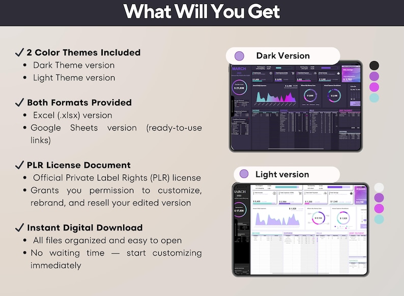 May include: Digital product presentation titled "What Will You Get." The image displays a data dashboard in dark and light versions. The text details features including Excel and Google Sheets formats, a PLR license, and instant download for immediate use.