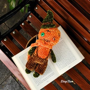 May include: A handmade orange and brown crochet doll with a green hat and overalls, resting on an open book. The doll has stitched facial features and button eyes. The background includes a wooden bench and greenery.