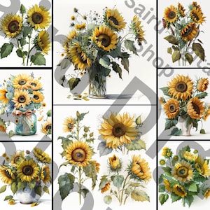 Realistic Watercolor Floral Sunflower Bouquet Summer Fall ClipArt PNG Commercial Use