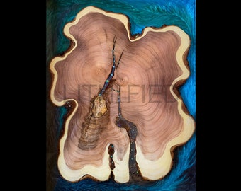 LITHIFIED hars GEO-tafel: aangepaste ambachtelijke handgemaakte speciale hars kunsttafel; Geologische kunst aan de muur; niet reproduceerbaar; 'Geluk scheren'